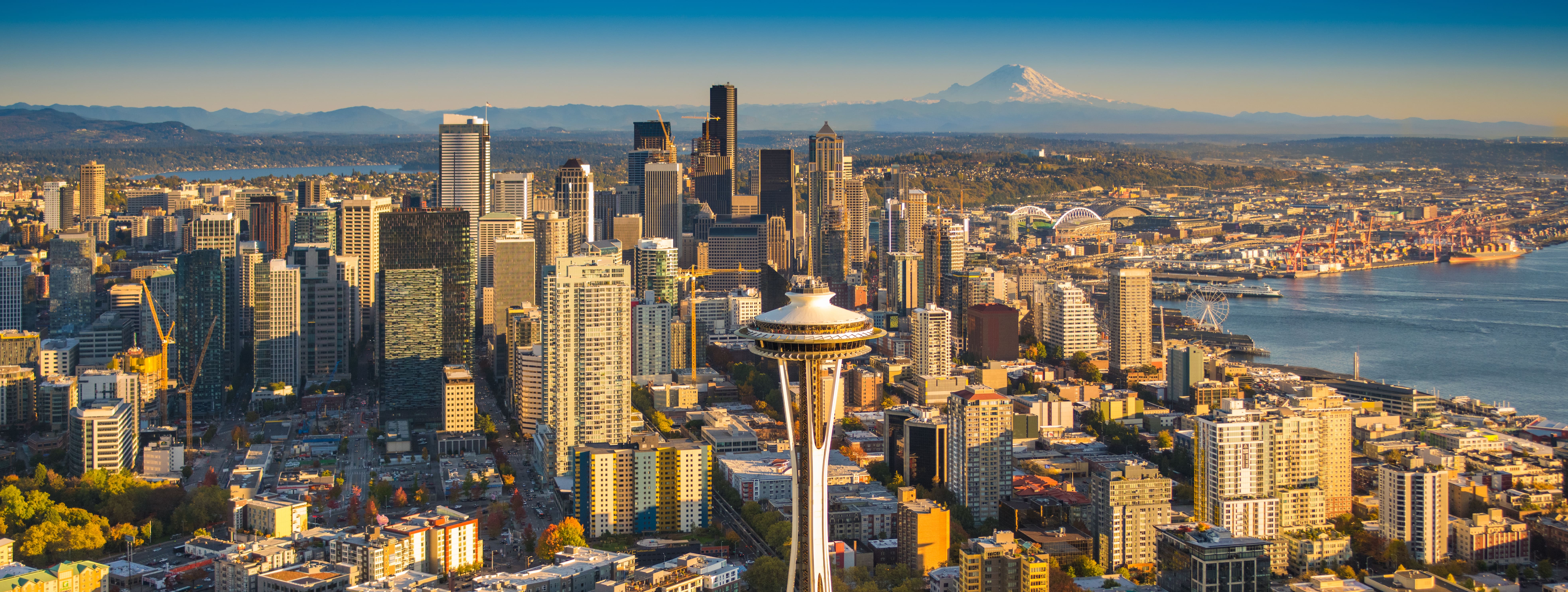 washington-best-solar-companies-2025